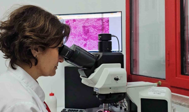 Kontrolsüzce çevreye bırakılan etler "kist hidatik enfeksiyonunun' yayılmasına neden oluyor