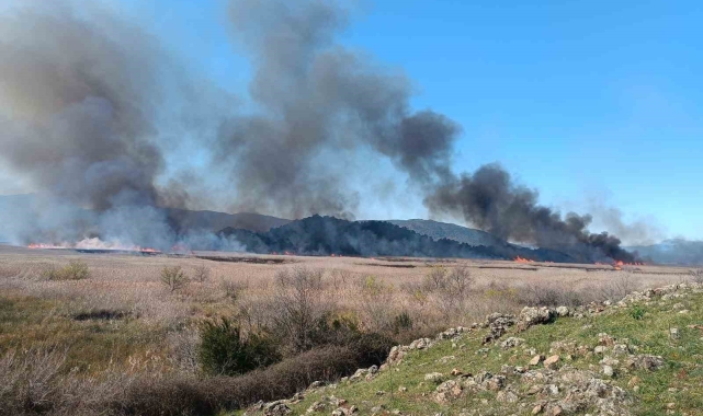 Köyceğiz'de sazlık yangını başladı