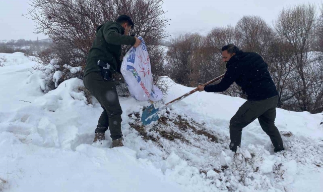 Malatya'da yaban hayvanları için yemleme çalışması