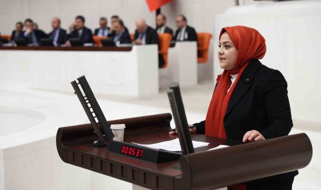 Milletvekili Ün: "Atanmış kişilere bu derece yetki tanınması siyasi suistimallere neden olabilir"
