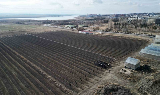 Niğde'de 'Meyve Ağacı Budama Eğitimi' düzenlendi
