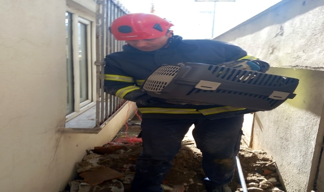 Ordu'da düştüğü yerde mahsur kalan kediyi itfaiye ekipleri kurtardı