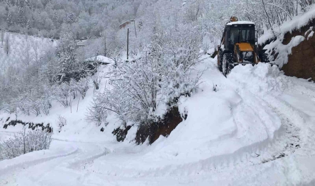 Ordu'da kar yağışı bazı noktalarda hayatı olumsuz etkiliyor