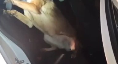 Otomobilin direğine zulalanmış uyuşturucuyla yakalanan 3 sanığa ceza yağdı