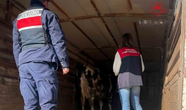 Pehlivanköy'de hayvan taşıyan araçlar denetlendi