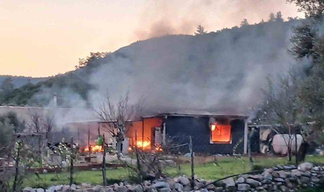 Prefabrik ev alevlere teslim oldu: 1 yaralı