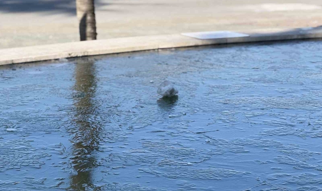 Sakarya buz kesti, su birikintileri ve süs havuzları dondu