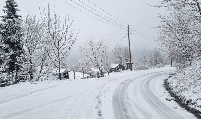 Sakarya ve çevre illerin yüksek kesimlerinde kar etkili oldu