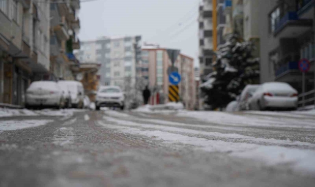 Samsun'da hayat dondu