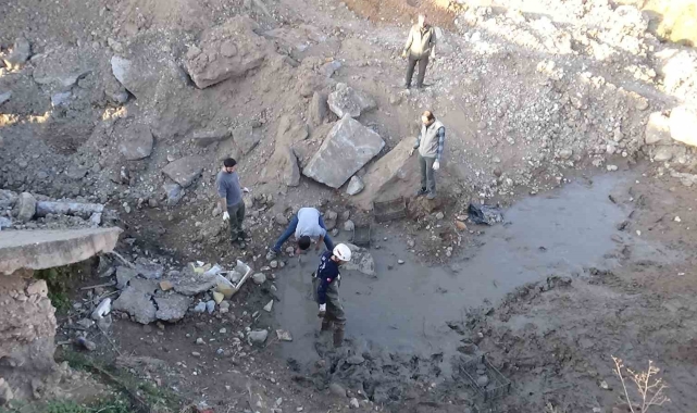 Şanlıurfa'da çamur bataklığında mahsur kalan 240 kaplumbağa kurtarıldı