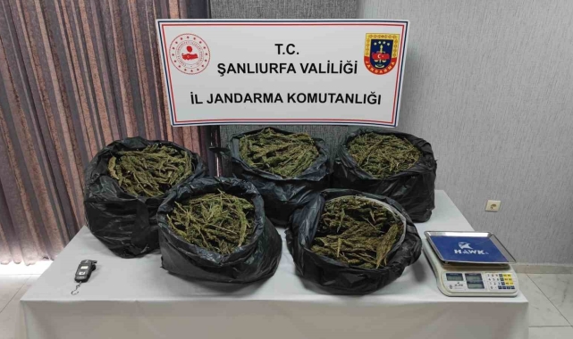 Şanlıurfa'da silah ve uyuşturucu madde ele geçirildi: 7 gözaltı