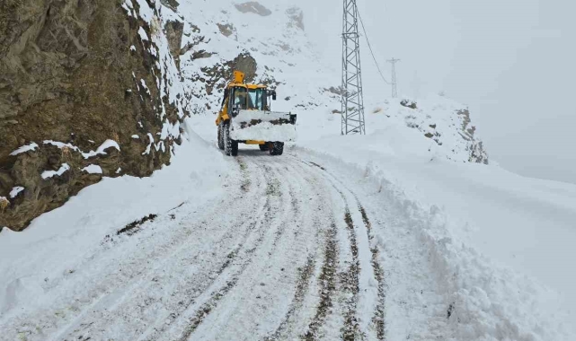 Siirt'te kar 92 köy yolunu ulaşıma kapattı