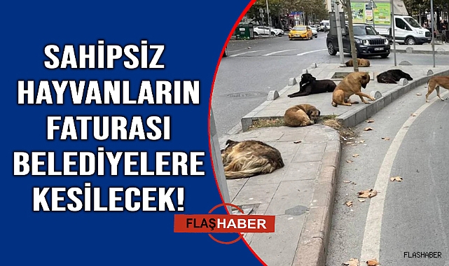 Sinop dahil 81 il valiliğine talimat
