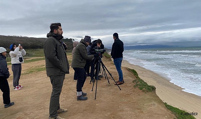 Sinop’ta kış ortası su kuşu sayımı