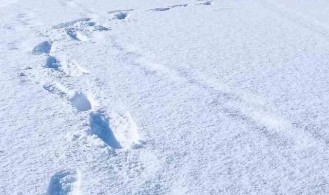 Şırnak'ta 19 köy yolu ulaşıma kapandı