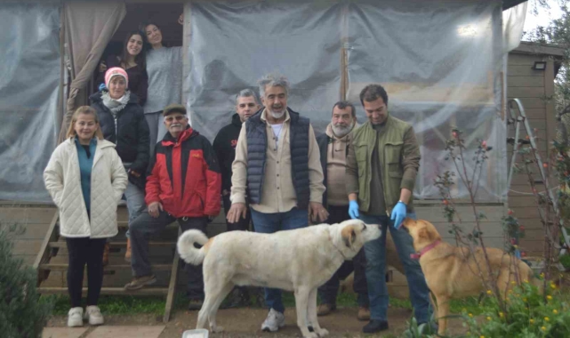 Sokak hayvanları için örnek imece