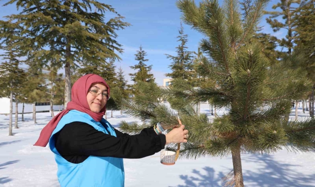 Sokak hayvanlarını unutmadılar