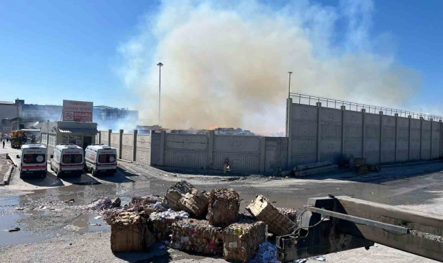Söke Kipaş&#039;taki yangını söndürme çalışmaları devam ediyor