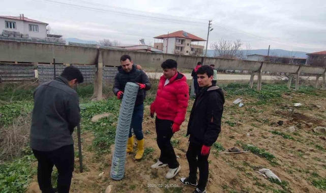 Tarım öğrencileri 200 zeytin fidanı dikti