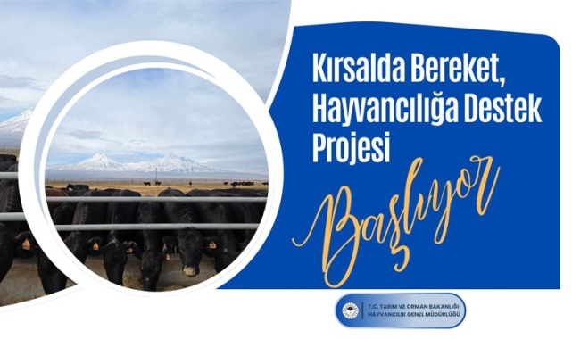 Tarım ve Orman Bakanlığından hayvan yetiştiricilerine gebe düve desteği