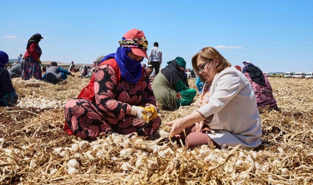Tarım zirvesi başlıyor, sektörün öncüleri Gaziantep'te buluşuyor
