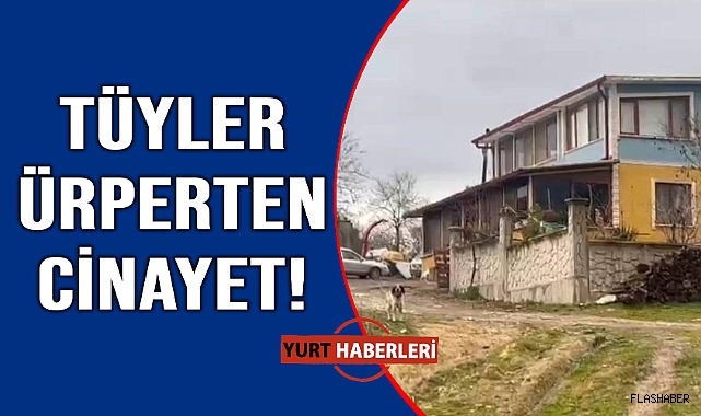 Tartıştığı annesini tüfekle vurarak öldürdü