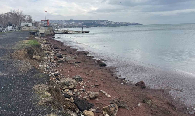 Tekirdağ kıyıları kızıl yosunla kaplandı