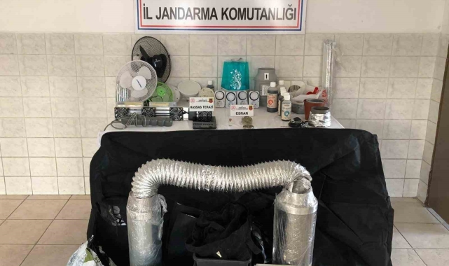 Tekirdağ'da jandarmadan uyuşturucu ve kaçakçılıkla mücadele operasyonu