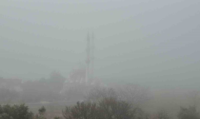 Tekirdağ'da yoğun sis: Göz gözü görmüyor
