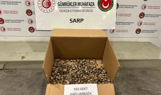 Ticaret Bakanlığı Gümrükler Muhafaza ekiplerinden &quot;su kaplumbağası&quot; operasyonu
