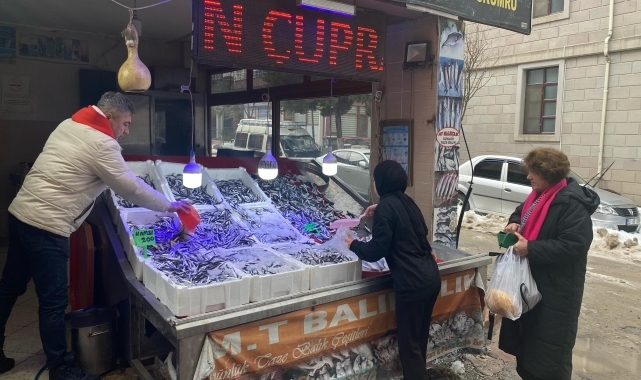 Türkeli'de balık fiyatlarında artış yaşandı