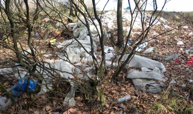 Tuzla'da mesire alanları çöplüğe döndü: Vatandaşlardan tepki