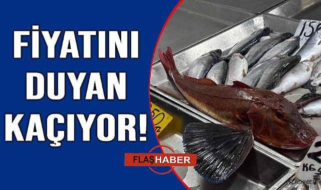 Uçan balık tezgaha kondu