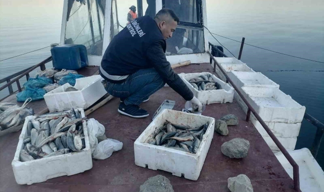 Van'ın ikinci büyük gölü Erçek'te inci kefali bereketi