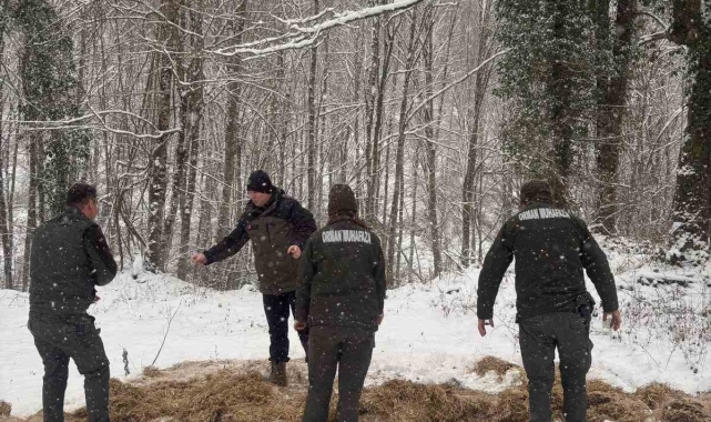 Yenice'de yaban hayvanları için doğaya yem bırakıldı