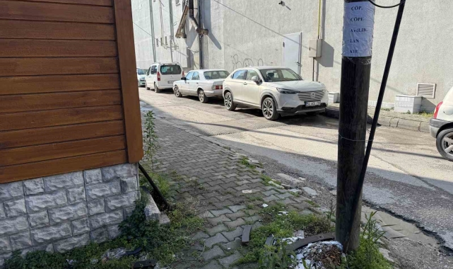 Yerlere çöp atanlara kızdı, sokaktaki direklere ve duvarlara bakın ne yazdı