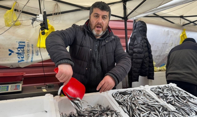 Zonguldak'ta hamsi 100 liradan alıcı buldu