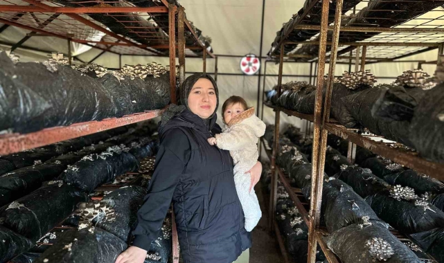 4 çocuk annesinin azmi: Yıllık 35 ton mantar üretiyor, talepleri karşılayamıyor