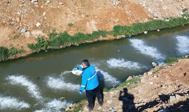Adıyaman Belediyesi'nden larva mücadelesi