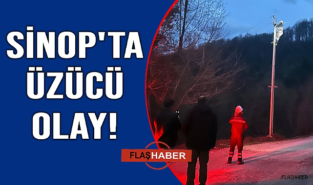Akıma kapılan büyükbaş hayvan telef oldu