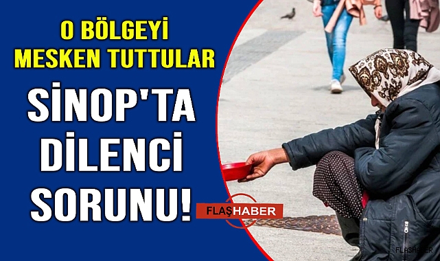 Akşam olunca ortaya çıkıyorlar