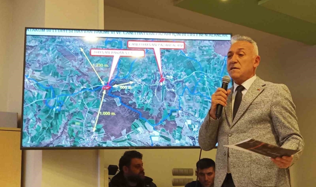 Atakum meclisinde gündem 'hayvan barınağı'