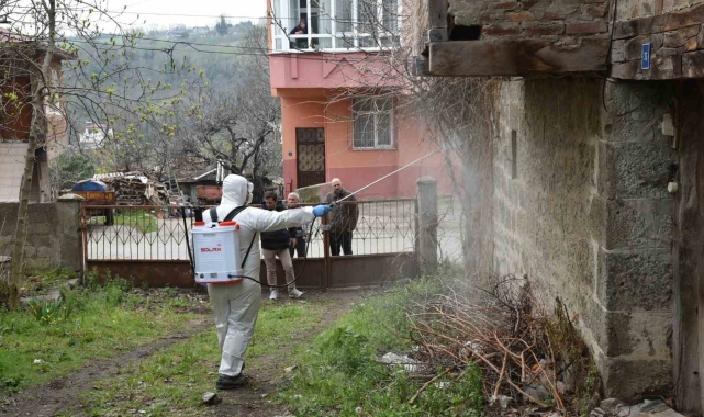 Atakum'da kahverengi kokarca ile mücadele çalışması