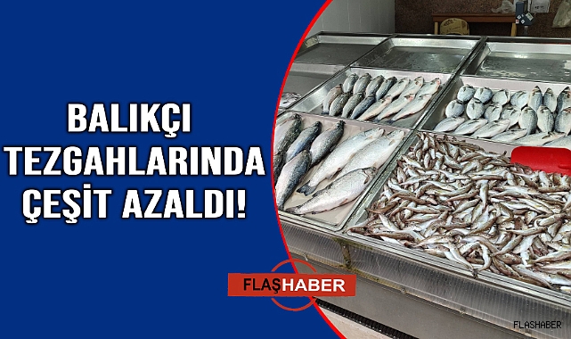 Av yasağı öncesi son taze balıklar tezgahlarda