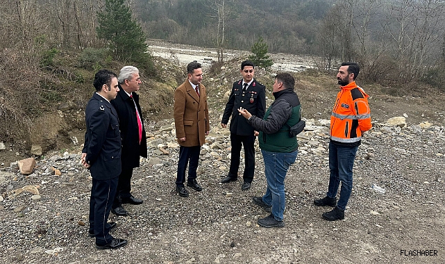 Ayancık'ta sokak hayvanlarına yeni yuva