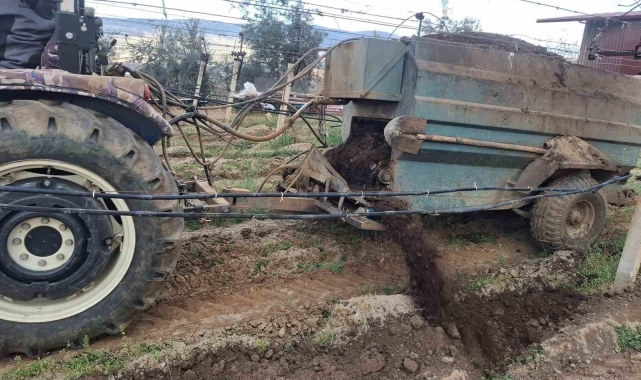 Bağlara önce milli toprak ardından doğal hayvan gübresi