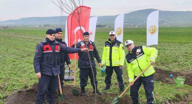 Balıkesir'de ağaçlandırma çalışmaları devam ediyor