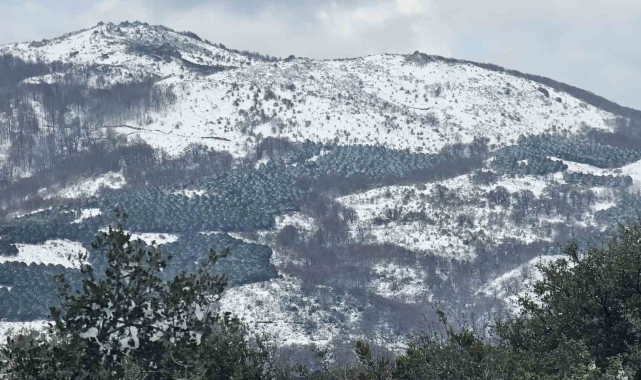 Bandırma ve Erdek'e mart ayında kar sürprizi