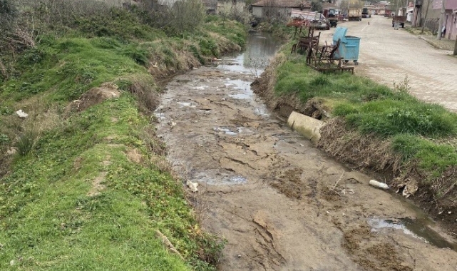 Bandırma'da dere kirliliği tepkiye neden oldu