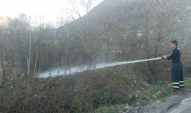 Bilecik'te arazi yangını kısa sürede söndürüldü